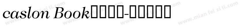 caslon Book中等斜体字体转换